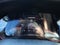 2024 RAM 1500 Rebel Crew Cab 4x4 5'7" Box