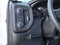 2025 GMC Sierra 3500 HD Chassis Cab Pro