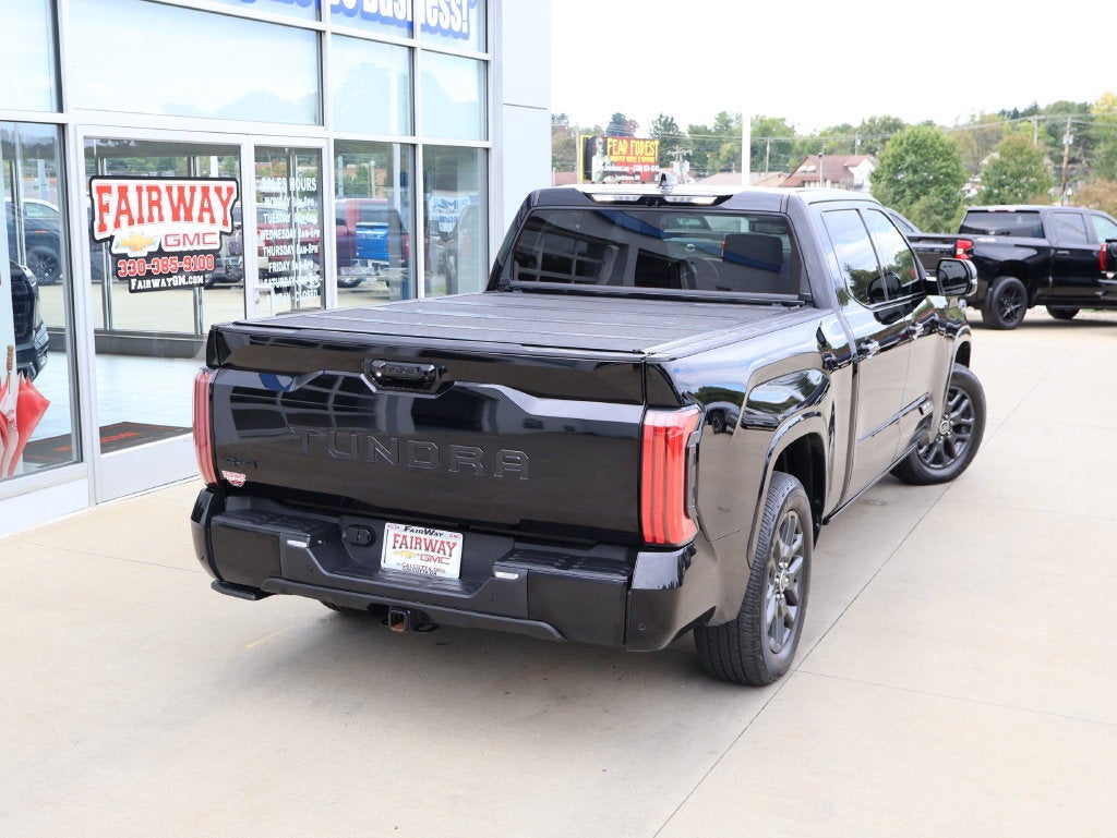 2023 Toyota Tundra Platinum - Photo 48